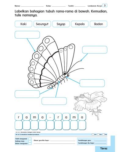 Lembaran Kerja Tema Serangga Prasekolah Head Section Png Hd