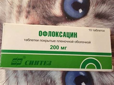 Офлоксацин для собак дозировка