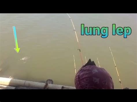 MANCING JATIGEDE IKAN EMAS RAKIT UCU KEN AROK YouTube