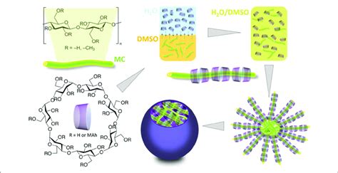 Schematic Illustration Of The Formation Of Supramolecular Micelles