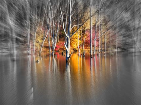 Hintergrundbilder Bäume bunt fallen Blätter See Wasser Natur