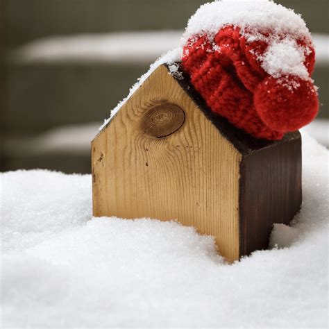 Winterization and Insulation: Prepare Your Home For Winter