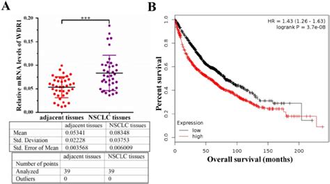 Wdr1 Is Upregulated And Correlates With Poor Prognosis In Nsclc