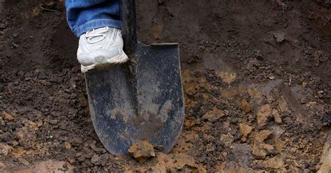 Soil Amendments For Vegetable Garden Clay Fasci Garden