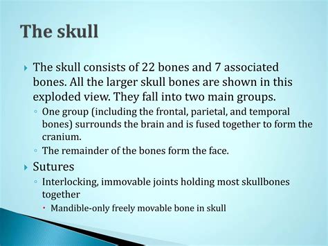 The skeletal system anatomy | PPSX