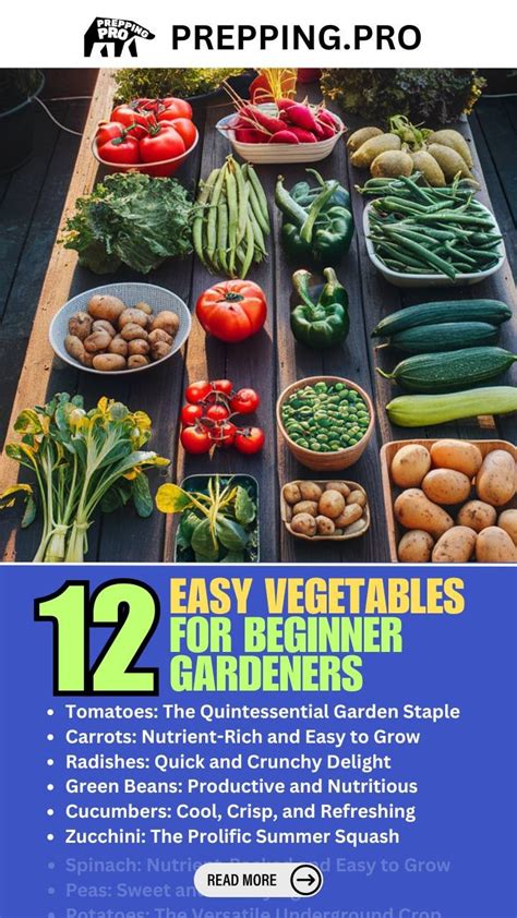 12 Easy Vegetables for Beginner Gardeners - Prepping Pro