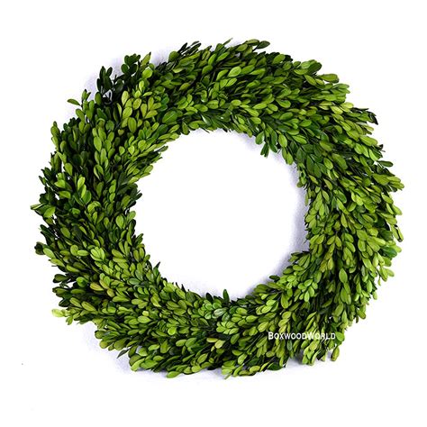 Boxwood Wreath Large Inch Preserved Nature Real Boxwood Wreath Home