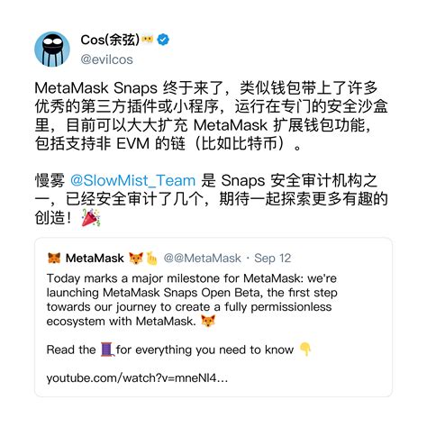 Metamask Snap 技术解读：开发体验、能力限制、安全性和商业潜力分析 加密哥斯拉