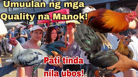 Episode 19 Bentahan Ng Manok Sa Padre Garcia Batangas YouTube