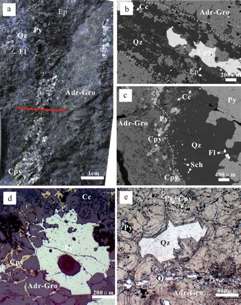 Typical skarn texture in Yongping Copper deposit | Download Scientific ...