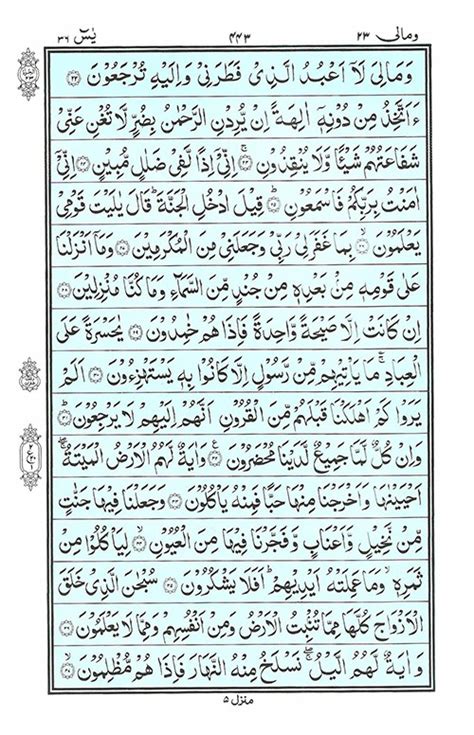 Surah Yasin Written Avenueamela