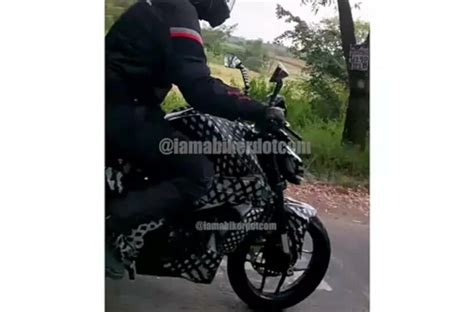 TVS Apache RTR 310 A New Naked Streetfighter Motorcycle To Watch Out For Archives Adrenaline