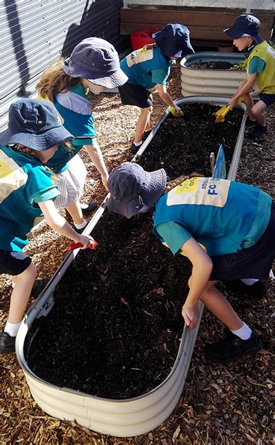 Eatons Hills Pandc Eatons Hill State School Parents And Citizens Association