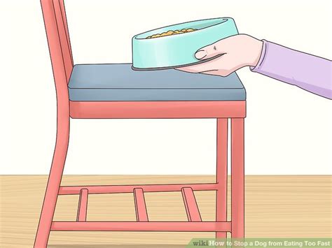 How to Stop a Dog from Eating Too Fast: 14 Steps (with Pictures)