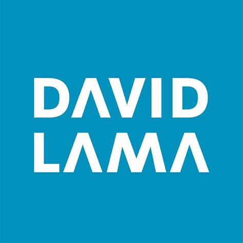 David Lama YouTube