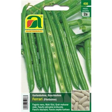 Austrosaat Dwarf French Bean Ferrari Package Bloomling International