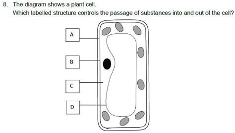 Solved What S The Answer For This Question The Diagram Shows A Plant