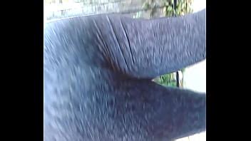 cuadro botín latina XVIDEOS