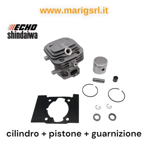 Kit Cilindro Pistone Guarnizione Per Decespugliatore Echo Srm T E