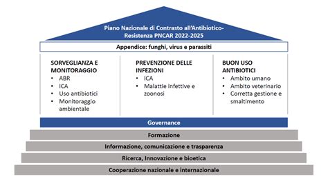 Nuovo Piano Nazionale Di Contrasto Allantibiotico Resistenza