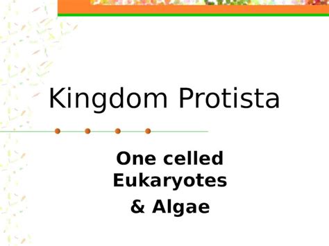 (PPT) Kingdom Protista One celled Eukaryotes & Algae Protista: Plant Like: Euglena Diatoms Algae ...