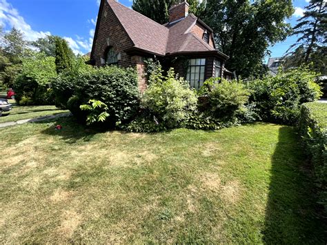 Landscaping Design | Gardners Landscaping