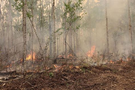 El Fuego Mantiene La Calidad Del Aire Bajo Mínimos En Canadá Noticias