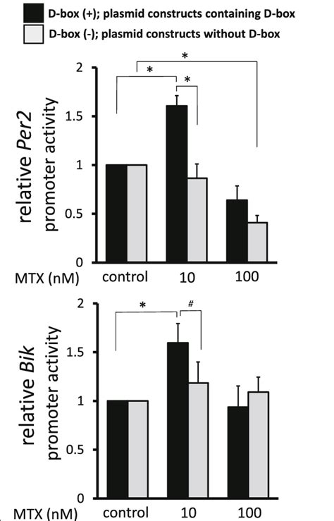 Promoter Activities Of Per2 And Bik Under Mtx Treatment Synovial