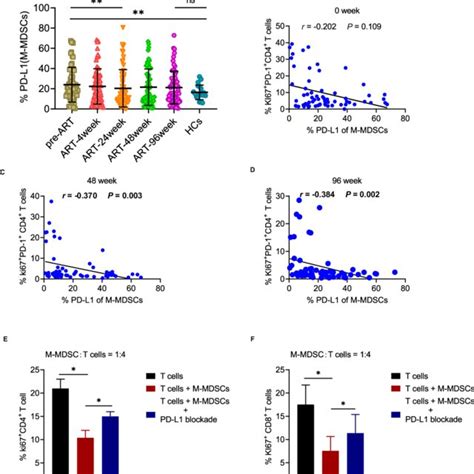 M Mdscs Inhibited T Cell Proliferation May Via Pd Pd L Pathway