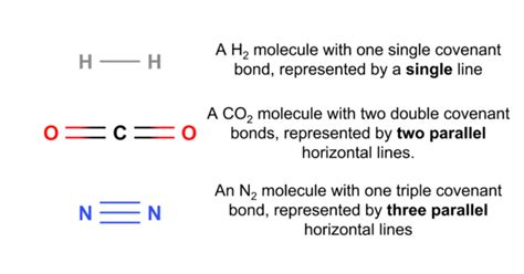 Covalent Bonding Questions And Revision Mme