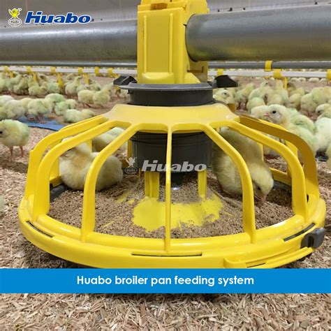 Livestock Machinery Automatic Pan Feeding System For Chicken Farm