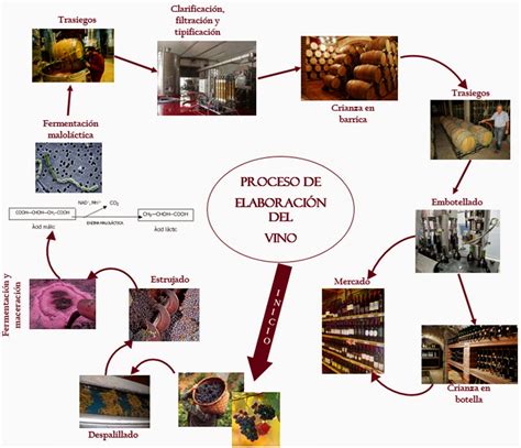 Lista 93 Foto Proceso De Elaboración De Bebidas Alcohólicas Lleno