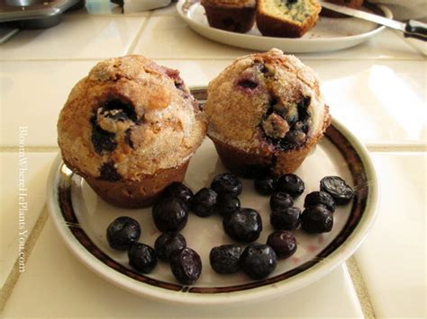 Blueberry Café Muffins