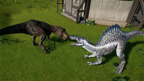 Spinosaurus Vs T Rex Indominus Rex Indoraptor Giganotosaurus Carcha