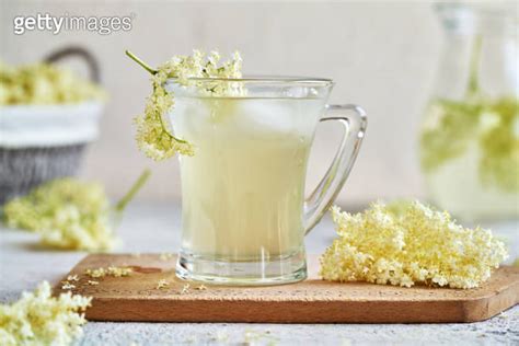 Lemonade Made Of Fresh Elderberry Flowers Syrup 이미지 1398374638 게티이미지뱅크