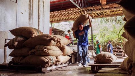 Nestlé Local Coffee Buying Up 39 Joins Tesda To Train Coffee Scholars