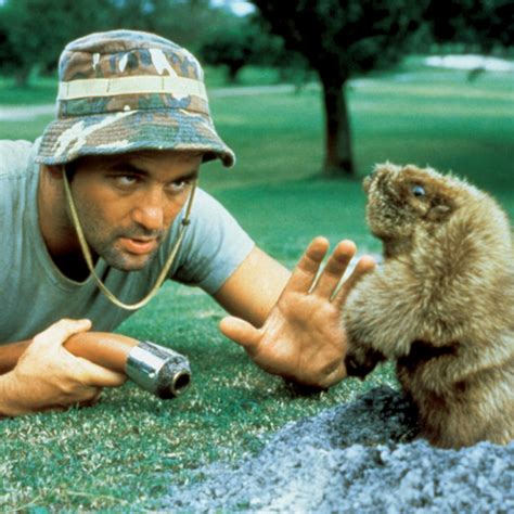 Quotes From Movie Caddyshack Quotesgram