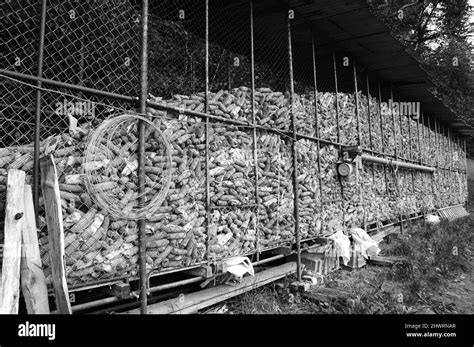 Corn Dryer For Animal Feeding At Small Farm Haute Savoie France