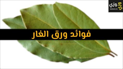 ورق غار فوائد ورق الغار