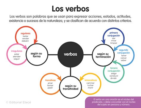 15 Ejemplos De Verbos Copulativos Explicado