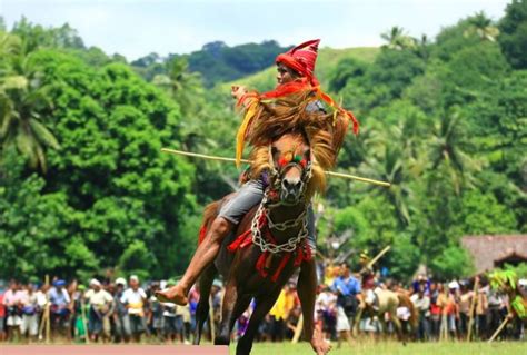 Kuda Dan Pasola Menyusuri Jejak Adat Sumba Di Negeri Sabana