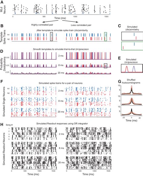 Simulating Pairs Of Neurons With Varying Degrees Of Temporal Precision