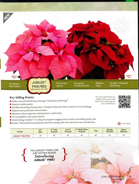 Ecke Poinsettia Catalog 2012 · The Paul Ecke Ranch Inc Business