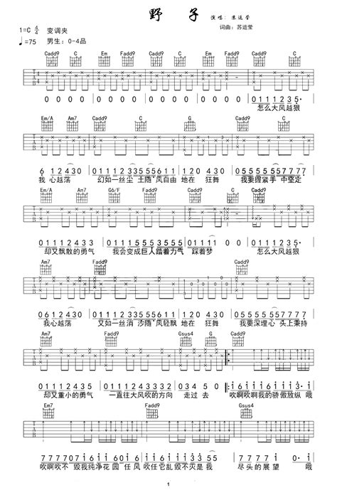 苏运莹《野子》吉他谱c调吉他弹唱谱吉他弹唱打谱啦