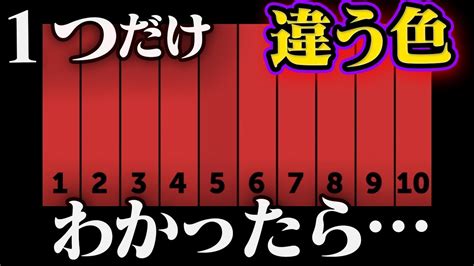 あなたは特殊能力持ちです。【4色型色覚】 Youtube