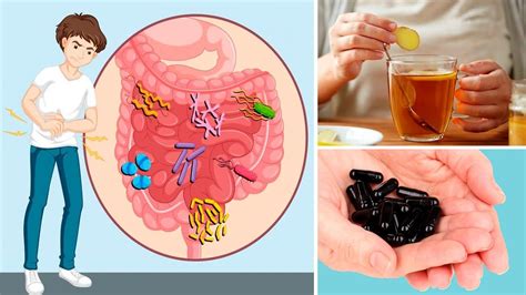 Top Rem Dios Naturais Caseiros Para Intoxica O Alimentar