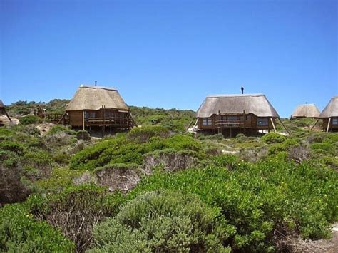 Nights At Agulhas Rest Camp Agulhas National Park Sanparks Budget