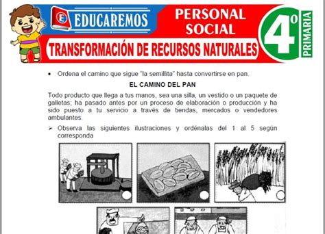 Transformación de Recursos Naturales para Cuarto de Primaria Fichas