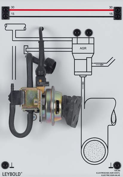 Vanne De Recirculation Des Gaz D Chappement Egr