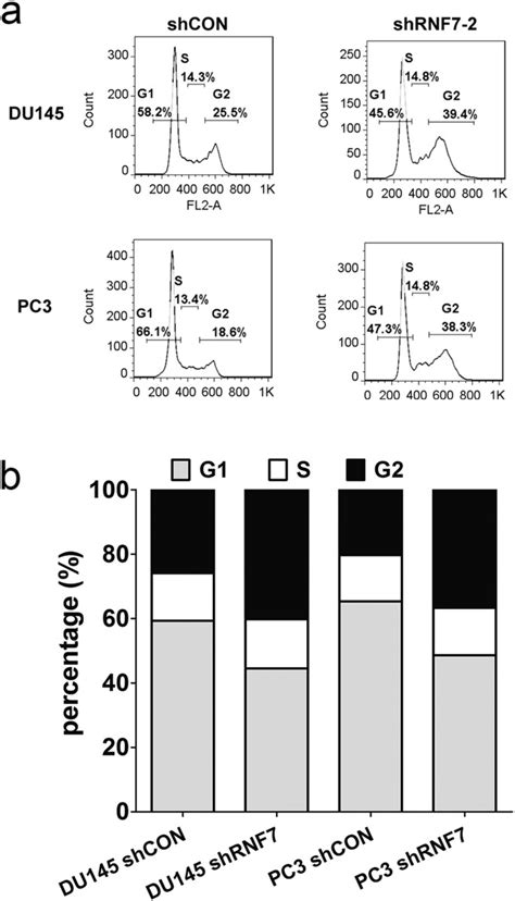 Rnf7 Knockdown Inhibits Prostate Cancer Tumorigenesis By Inactivation